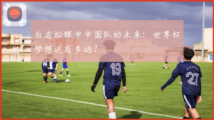白岩松眼中中国队的未来：世界杯梦想还有多远？