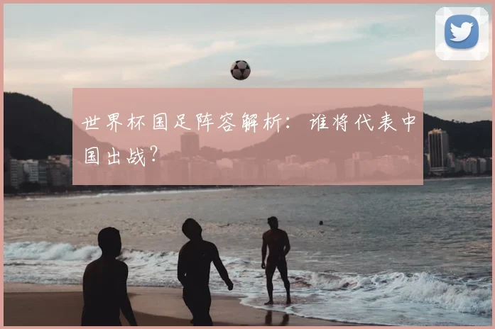 世界杯国足阵容解析:谁将代表中国出战?