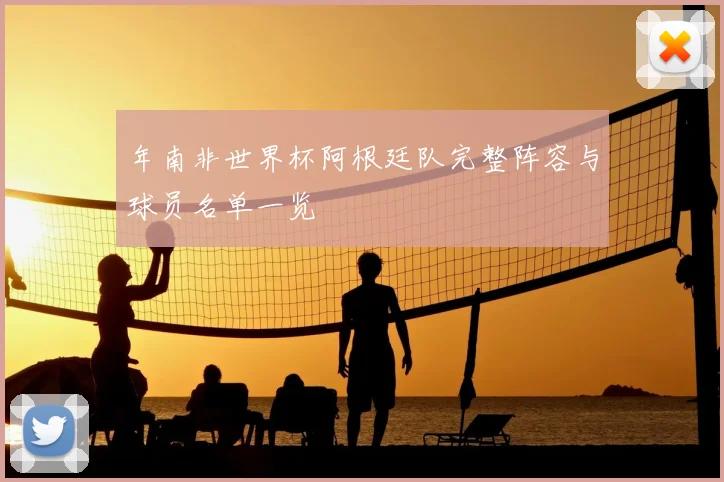 年南非世界杯阿根廷队完整阵容与球员名单一览