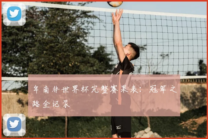 年南非世界杯完整赛果表：冠军之路全记录