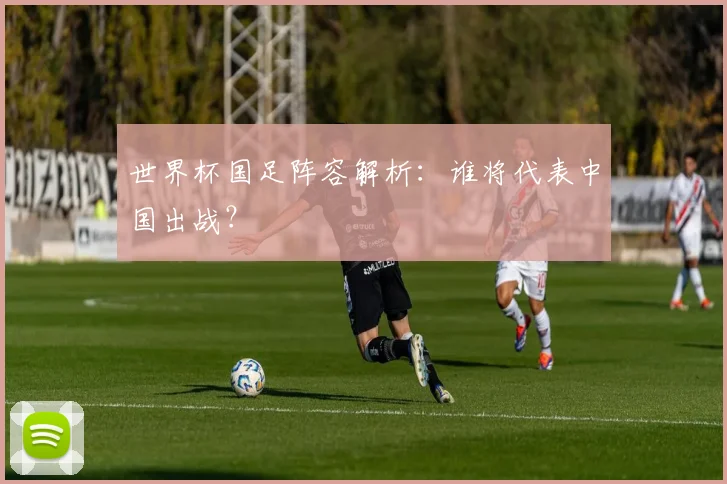 世界杯国足阵容解析:谁将代表中国出战?