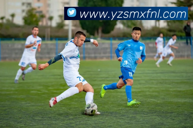 多媒体互动体验